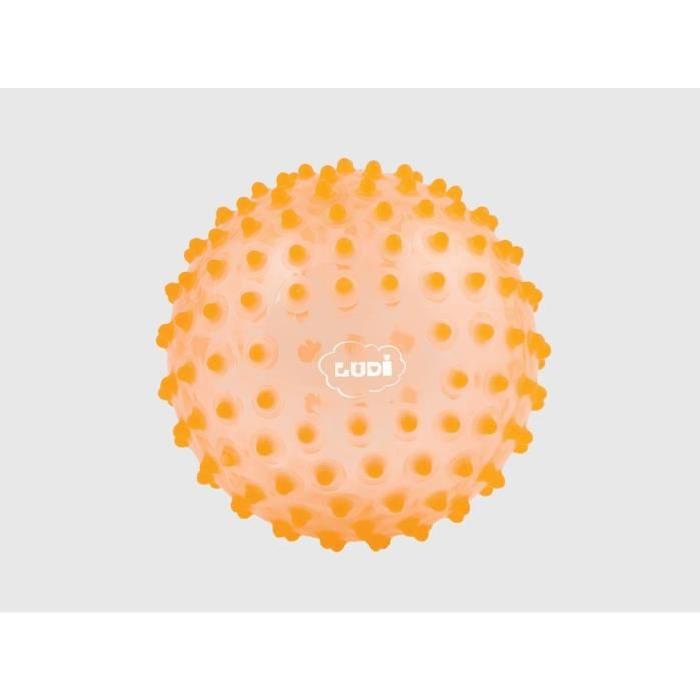 LUDI Balle Sensorielle Orange - Diametre 15 cm