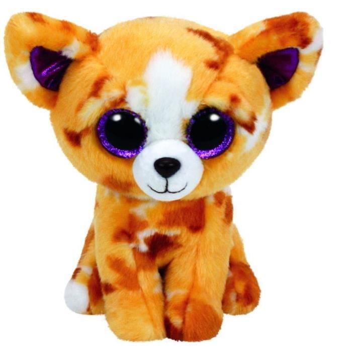 TY Peluche Pablo le Chihuahua - 15 cm