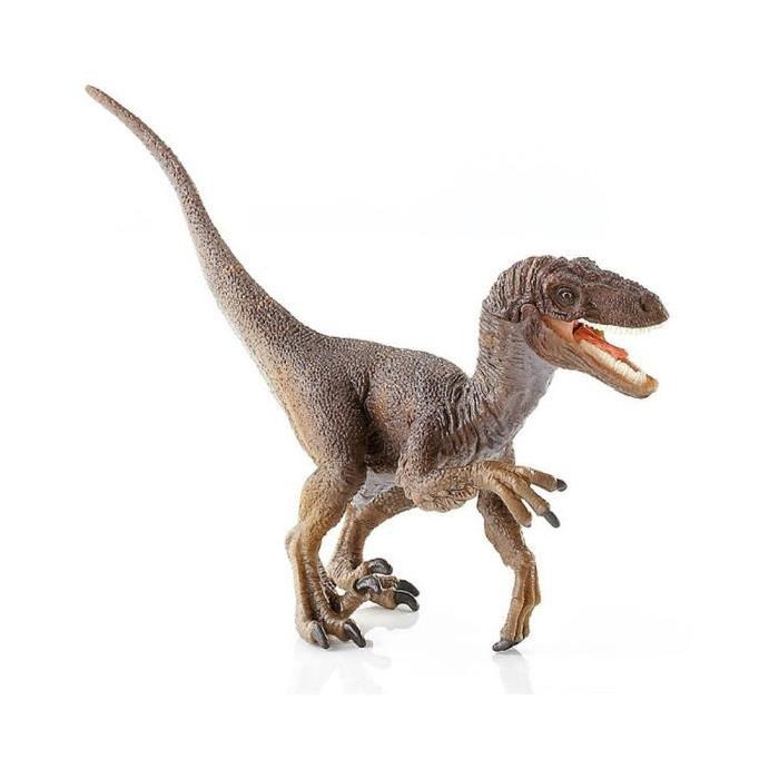 Velociraptor