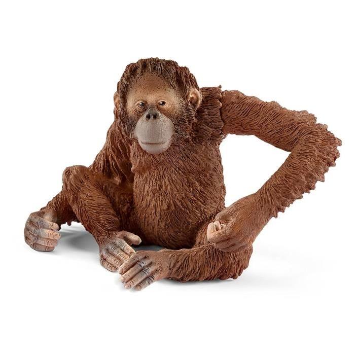 SCHLEICH Figurine Orang-Outan, Femelle