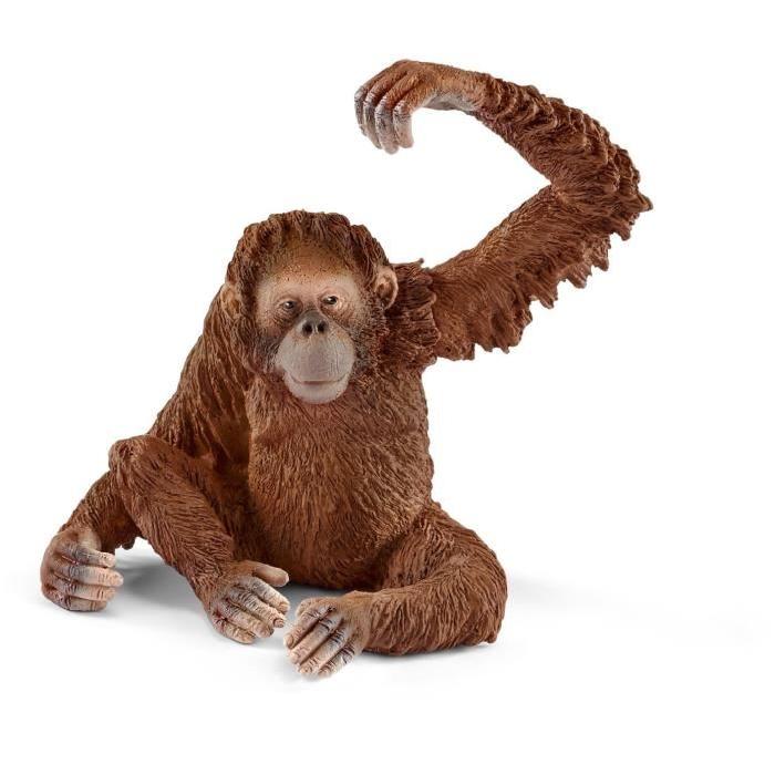 SCHLEICH Figurine Orang-Outan, Femelle