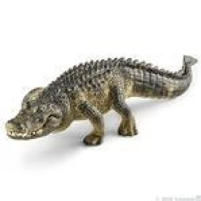 SCHLEICH Figurine Alligator