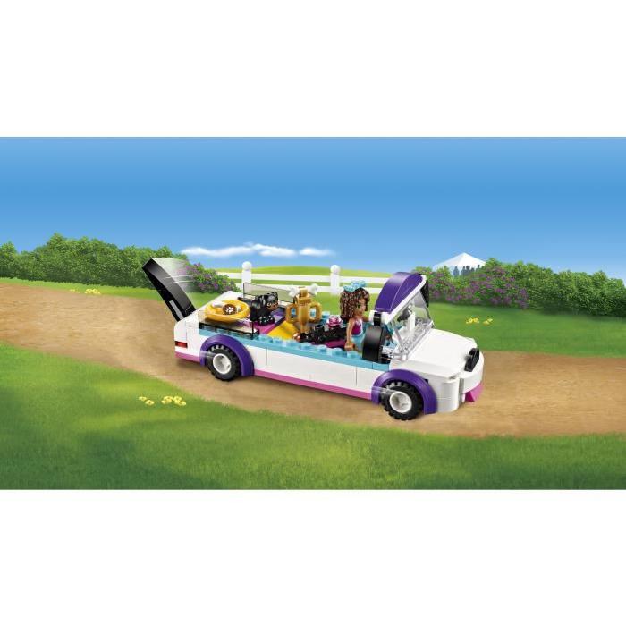 LEGO Friends 41301 Le Défilé des Chiots